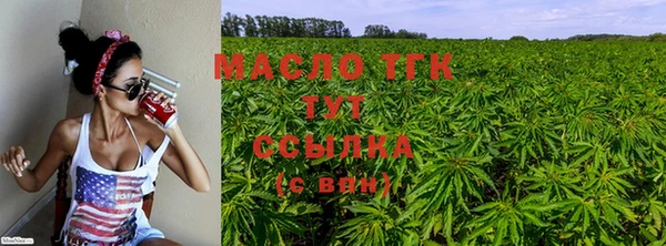 сатива Бронницы