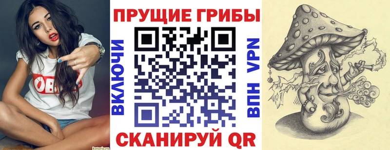 Псилоцибиновые грибы Cubensis  Нея 